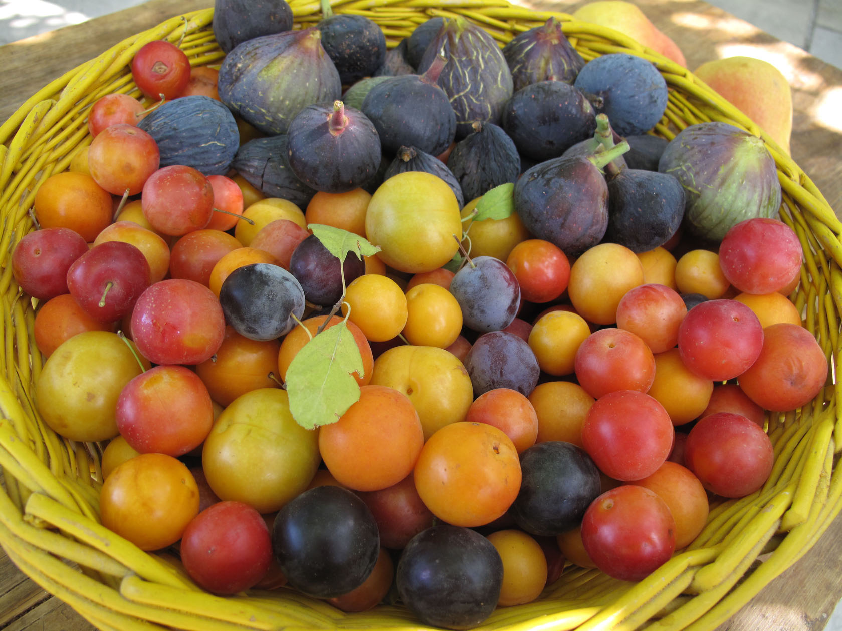 les fruits de la région